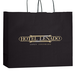 Matte 16" x 6" x 13" Personalized Shopping Bags