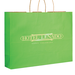 Matte 16" x 6" x 13" Personalized Shopping Bags