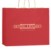 Matte 16" x 6" x 13" Personalized Shopping Bags