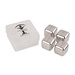 Stainless Steel Ice Cubes In Case