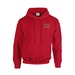 Gildan® Heavy Blend Classic Fit Adult Hooded Sweatshirt - 8 oz.