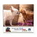 Furry Friends Wall Calendar 2026