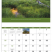 Good Value™ Eternal Word - Stapled Calendar