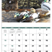 Sporting Dogs Wall Calendar (Stapled) -2027
