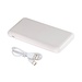 Viceroy 10000 mAh Power Bank