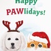 Premium "Happy Pawlidays" Holiday Greeting Card