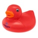 Duck Stress Reliever