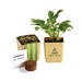 Flower Pot Set With Marigold Seeds