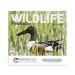 Wildlife Portraits Wall Calendar 2026