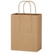 Kraft Paper Brown Shopping Bag - 8 x 10-1/4