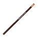 Hex Pioneer Pencil