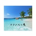 Microfiber Cloth - Summer
