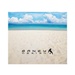 Microfiber Cloth - Summer