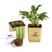 Flower Pot Set With Basil Seeds