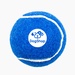 Pet-Fetch-Toy-Tennis-Ball