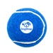 Pet-Fetch-Toy-Tennis-Ball