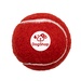 Pet-Fetch-Toy-Tennis-Ball