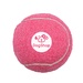 Pet-Fetch-Toy-Tennis-Ball