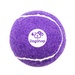 Pet-Fetch-Toy-Tennis-Ball