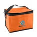 Non-Woven Lunch Cooler Bag - 4CP
