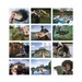 Fishing Guide Wall Calendar