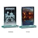 Medium Glass Award - Full Color