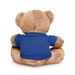 7 Plush Bear With T-Shirt