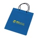 Non-Woven Gift Bag
