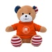 Patriotic Bear with Tshirt
