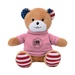Patriotic Bear with Tshirt