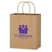 Kraft Paper Brown Shopping Bag - 13" x 17"