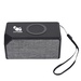 Boost Wireless Charger Speaker