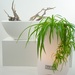 Le Zen Cooler & Wireless Speaker With Led Mood Light