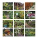 Garden Walk Wall Calendar 2026