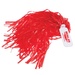 Cheering Pom Poms