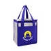 Fresno Non-Woven Cooler Bag