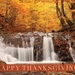 Woodland Waterfall Thanksgiving Card