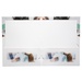 2 Pocket Presentation Folders, Business Themes (imprint at bottom)