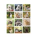Puppies & Kittens - Mini Wall Calendar 2026
