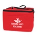 Non-Woven Six Pack Kooler Bag