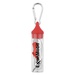 Ear Buds in Custom Case with Carabiner