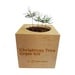 Sprigbox Christmas Tree Grow Kit