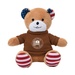 Patriotic Bear with Tshirt