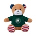 Patriotic Bear with Tshirt
