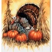 Turkey & Pumpkins Thanksgiving Greeting Card