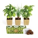 Growpot Eco-Planter Herb 3-Pack