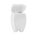 Tooth Shaped Mint Dental Floss