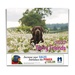 Furry Friends Wall Calendar - 2027