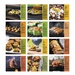 Grilling Wall Calendar - 2027