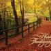 Leaf-Strewn Lane Thanksgiving Cards